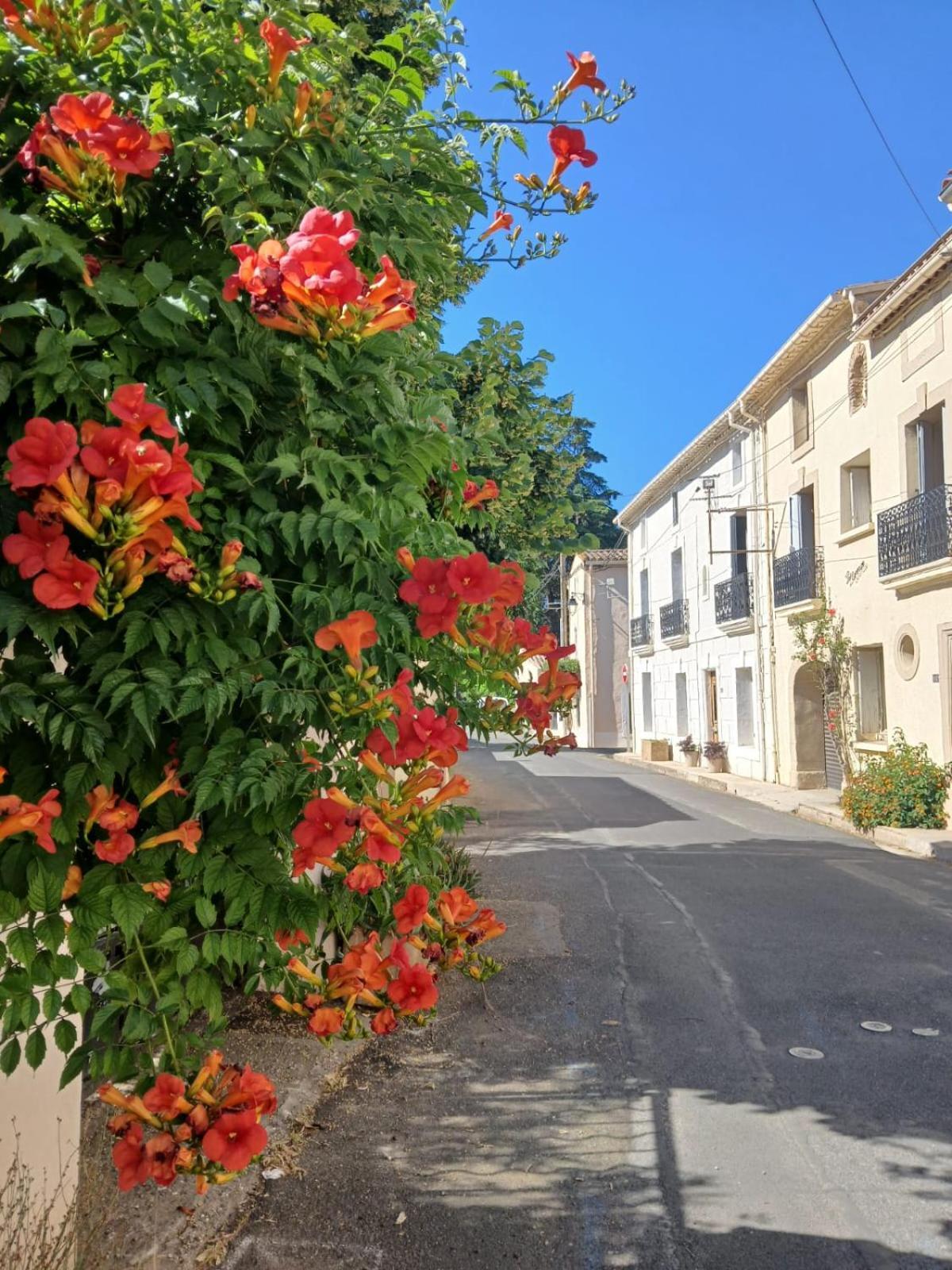 L'Oostaloo Logement De Vacances Usclas-l'Herault Exteriér fotografie